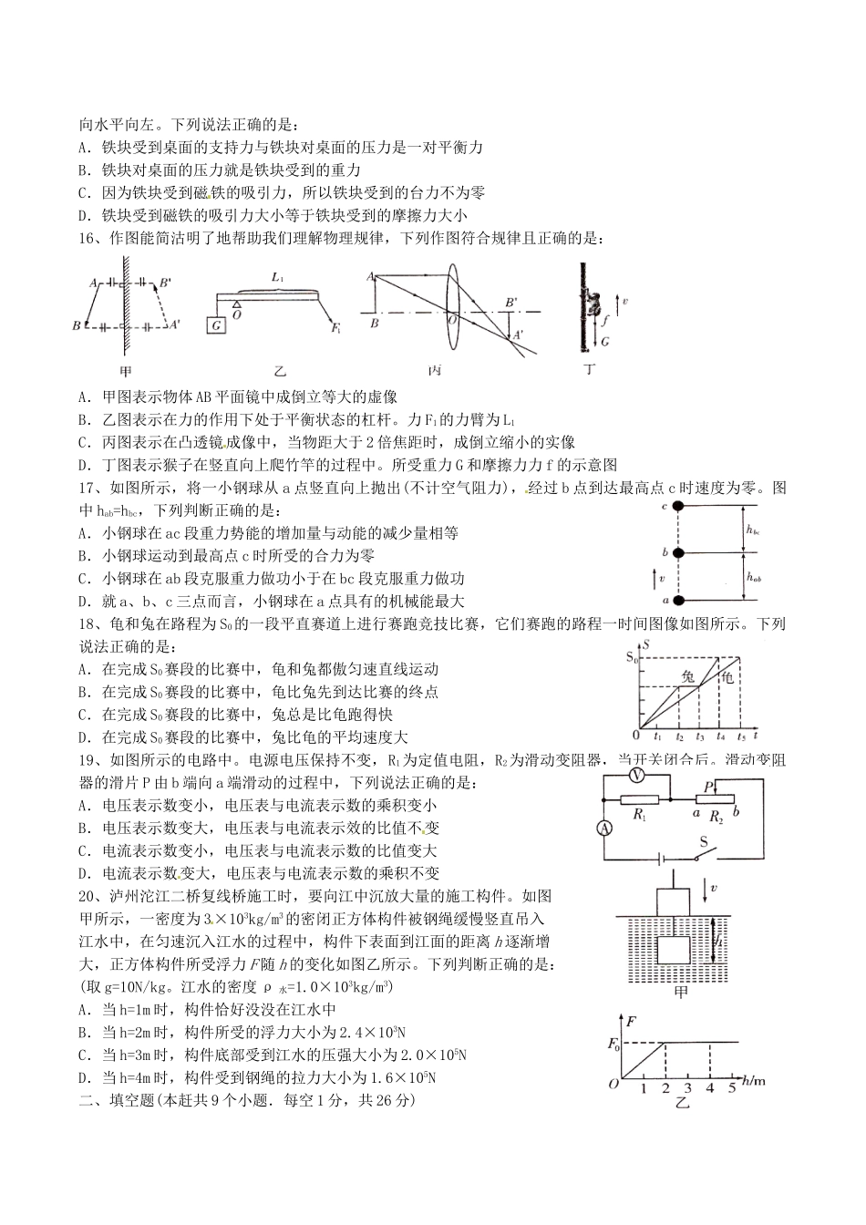 四川省泸州市中考物理真题试卷(含答案)试卷_第2页