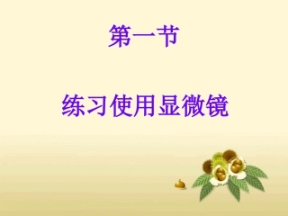 练习使用显微镜2
