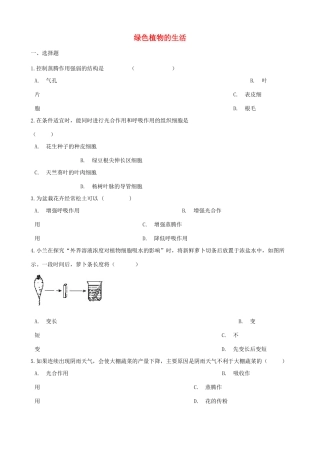 中考生物 绿色植物的生活专题复习试卷