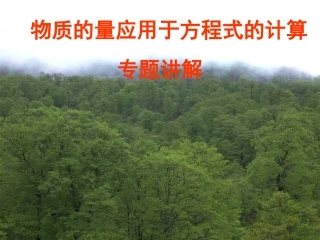 内蒙古包头市包头一中高一化学《物质的量应用于方程式的计算》课件