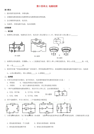 中考物理复习指南 第十四单元 电路初探试卷