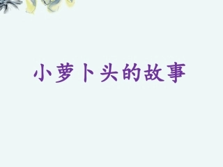 《小萝卜头的故事》课件