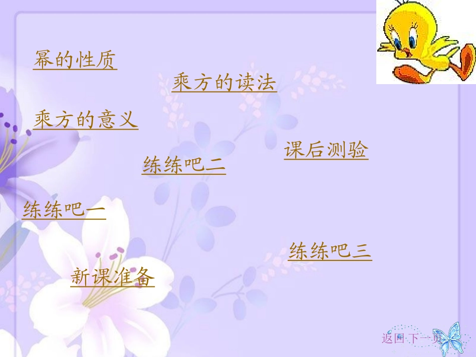 有理数的乘方课件_第2页