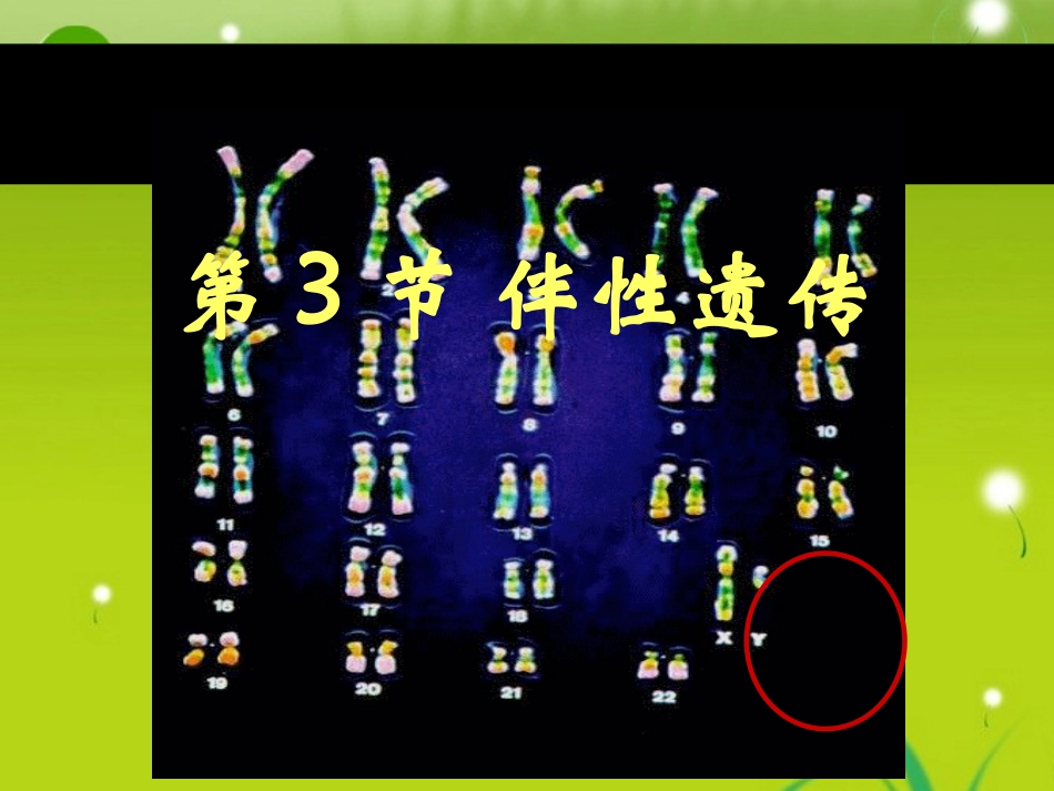 1伴性遗传课件-新人教版必修2_第1页
