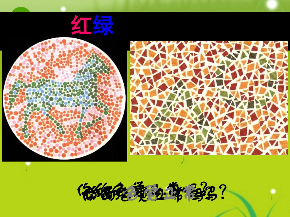 1伴性遗传课件-新人教版必修2_第3页