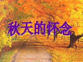 《秋天的怀念》姚敏.ppt3.