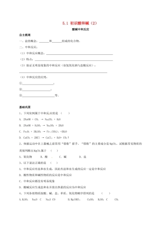 九年级化学下册 51 初识酸和碱(2)校本作业(新版)沪教版试卷