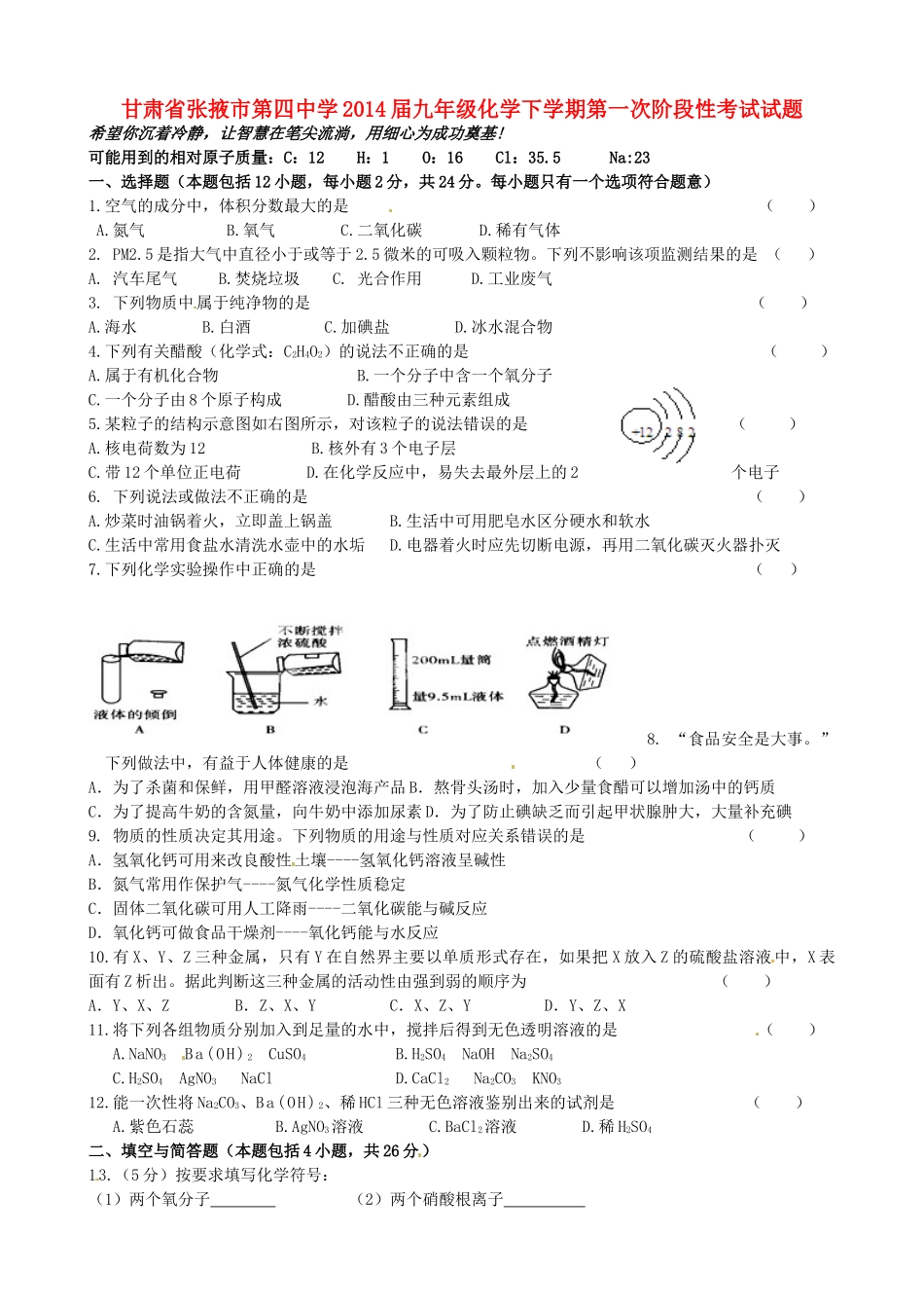 九年级化学下学期第一次阶段性考试试卷试卷_第1页