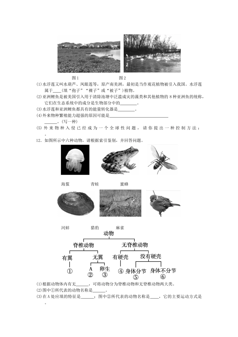 中考生物一轮复习 第六单元 第一章 第三章 生物分类以及生物的多样性 新人教版试卷_第3页