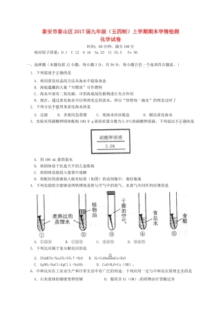 九年级化学上学期期末学情检测试卷(五四制)试卷