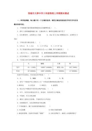 山东省邹城市八年级物理上学期期末测试试卷 沪科版试卷
