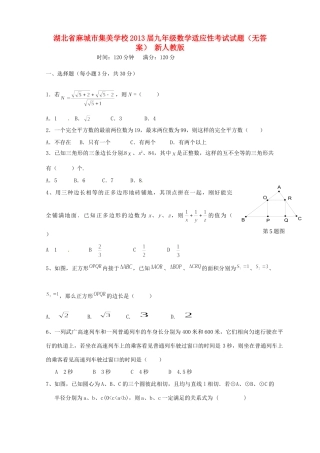 九年级数学适应性考试试卷 新人教版试卷