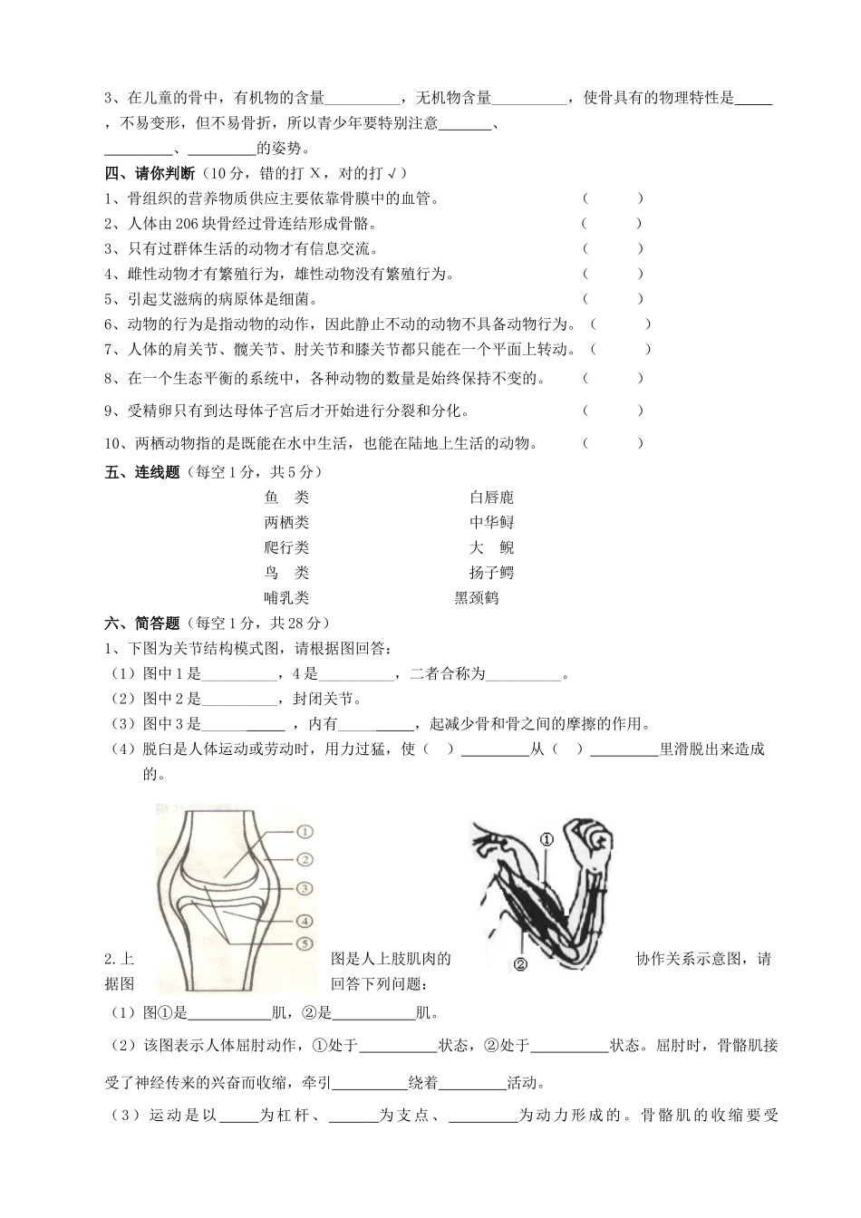 安徽省宣城梅林八年级生物第一学期期中考试试卷 北师大版试卷_第3页
