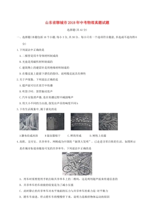 山东省聊城市中考物理真题试卷试卷