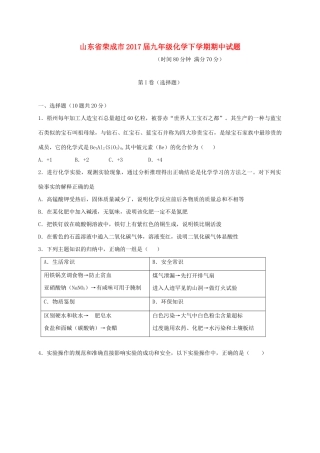 山东省荣成市九年级化学下学期期中试卷