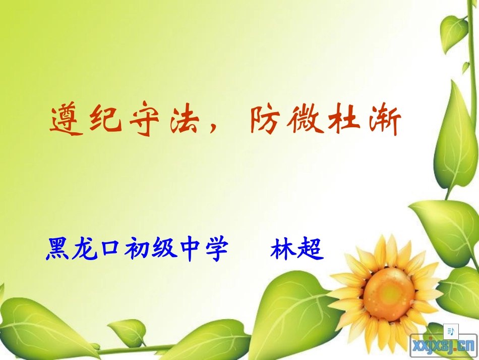 《遵纪守法，防微杜渐》_第3页