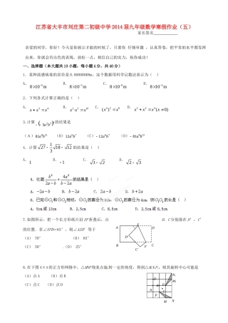 九年级数学寒假作业(五)试卷