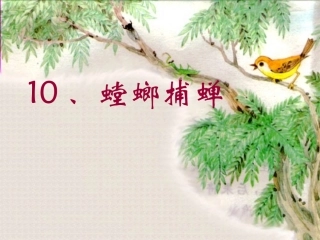 《螳螂捕蝉》PPT课件