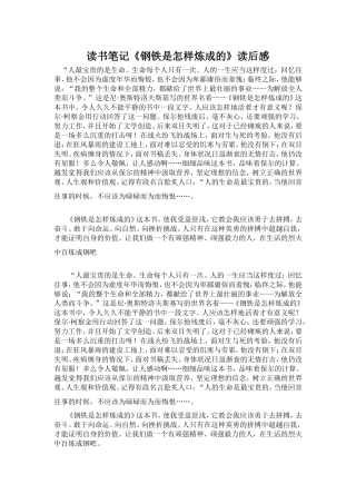 读书笔记《钢铁是怎样炼成的》读后感