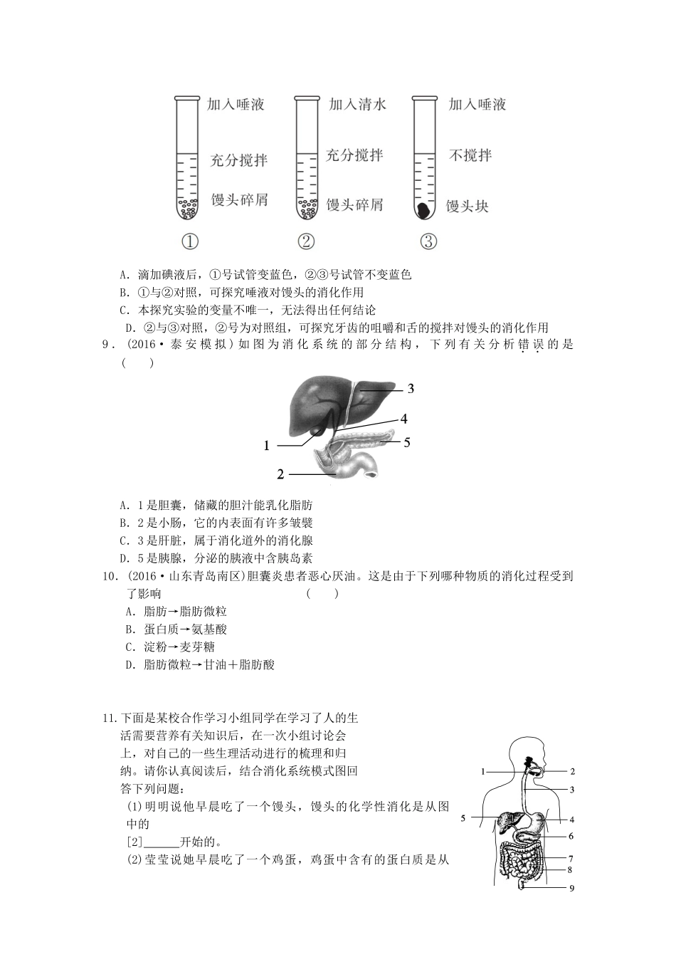 中考生物一轮复习 第四单元 第二章 人体的营养 新人教版试卷_第2页