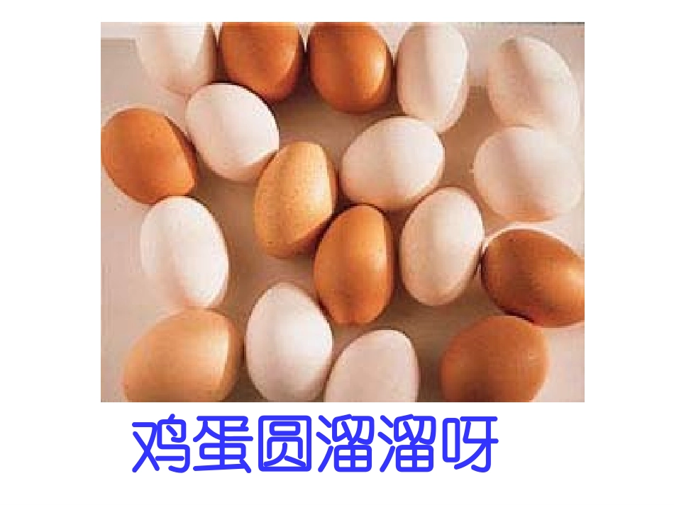第三课++++菜园里_第3页