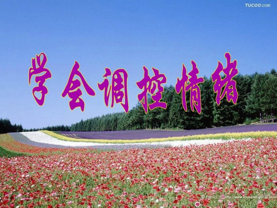 合理调控情绪_第1页