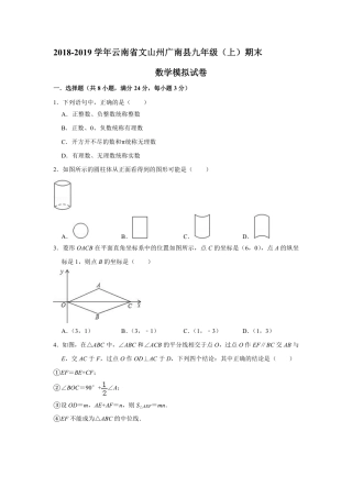 九年级数学上学期期末模拟试卷(pdf)试卷