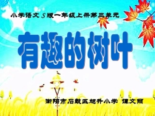 有趣的树叶说课课件