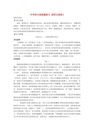 中考语文阅读题复习 说明文阅读2试卷