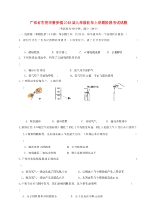 九年级化学上学期阶段考试试卷