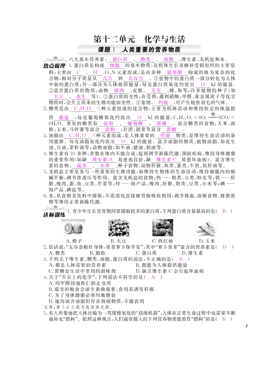 九年级化学下册 第十二单元 化学与生活同步测试卷(pdf)(新版)新人教版试卷_第1页