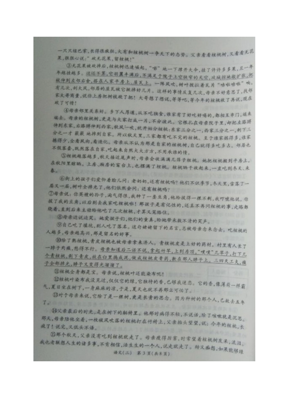 中考语文模拟试卷(三)(押题卷)试卷_第3页