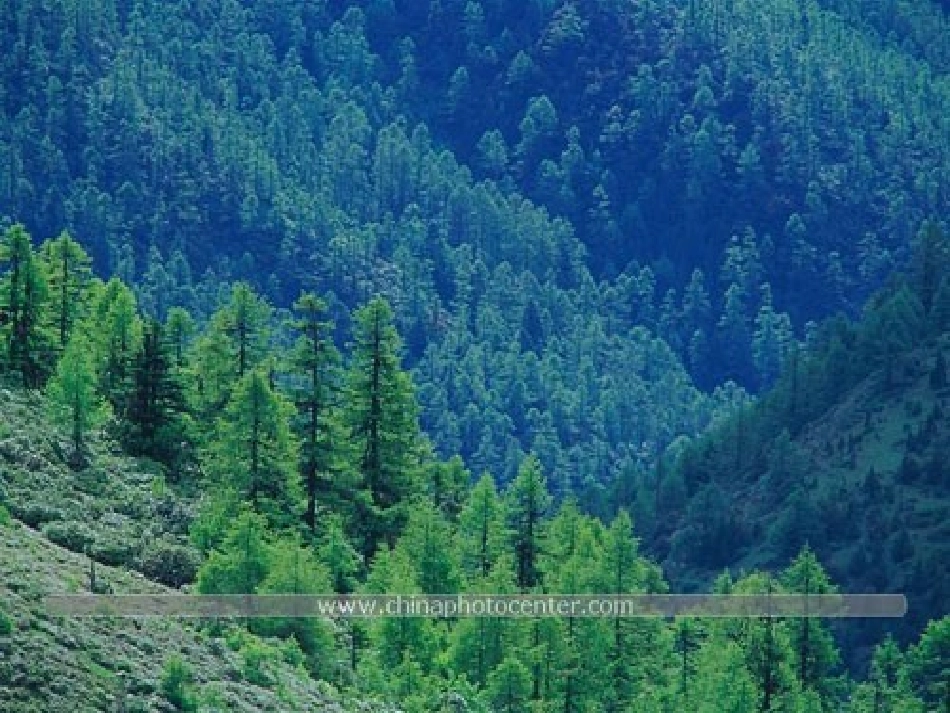 保护生物的多样性_第2页