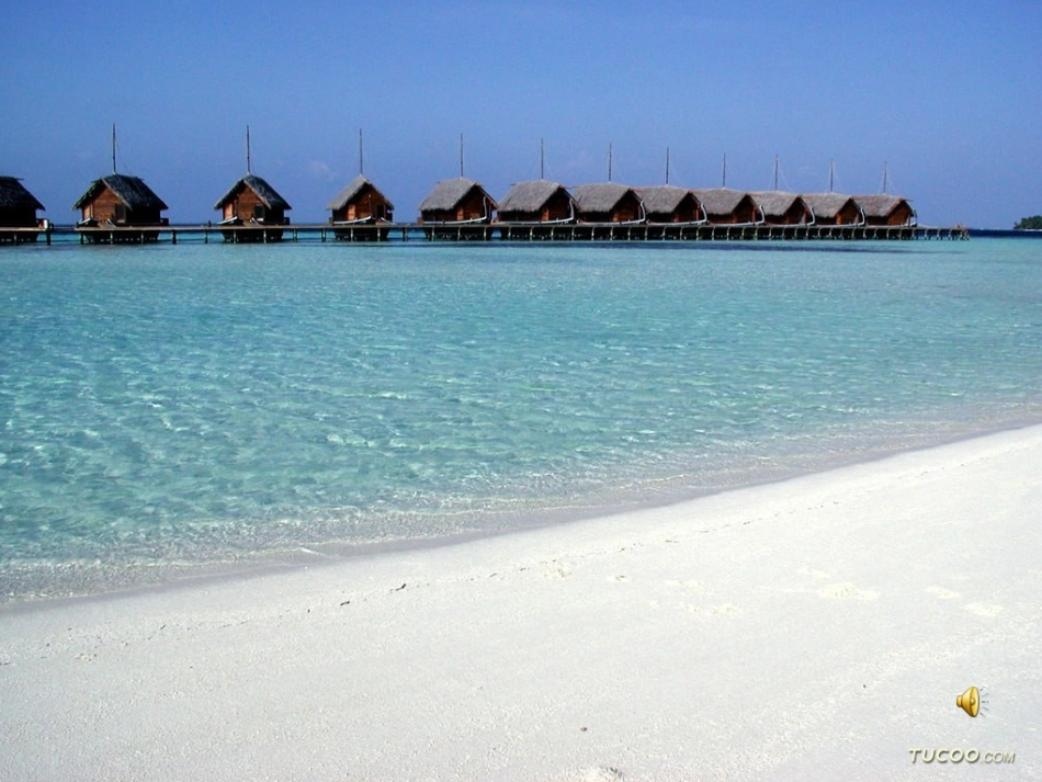 第三章溶液的形成（上课用）_第2页