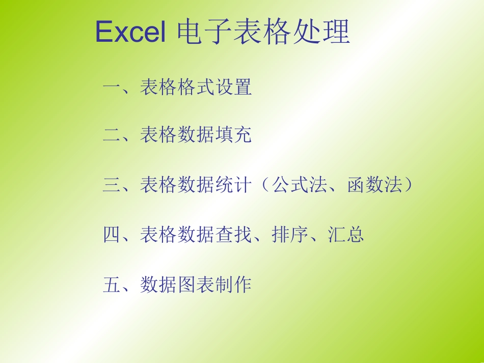 Excel电子表格处理_第1页