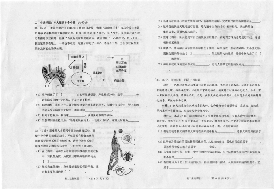山东省威海市文登区七年级生物下学期期末考试试卷(pdf) 鲁教版五四制试卷_第3页