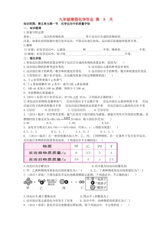 九年级化学上学期寒假作业 第9天 鲁教版试卷