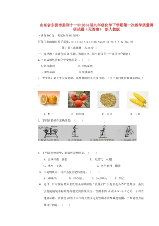 九年级化学下学期第一次教学质量调研试卷 新人教版试卷