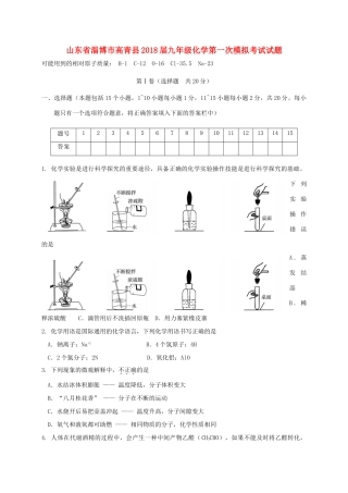 山东省淄博市高青县九年级化学第一次模拟考试试卷