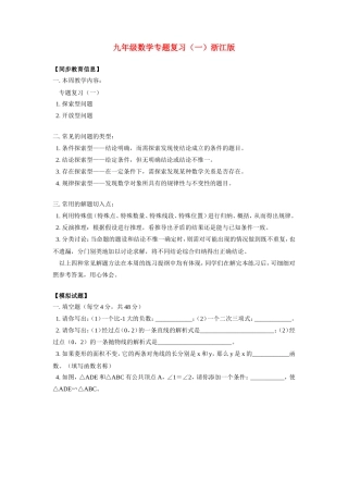 九年级数学专题复习(一)浙江版试卷
