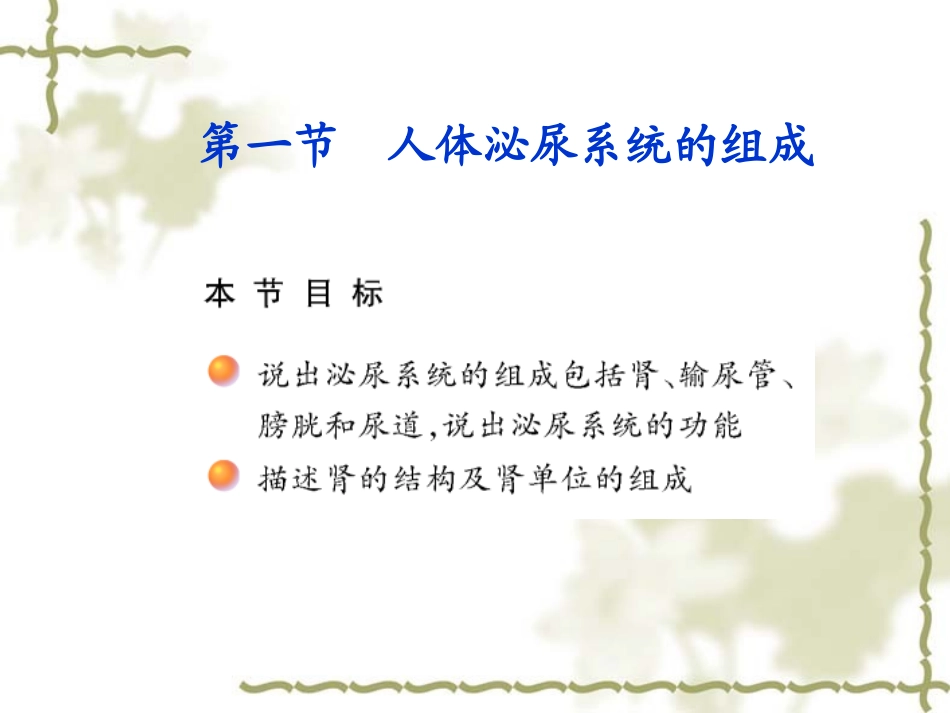 人体泌尿系统的组成final_第2页