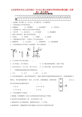 九年级化学阶段性诊断试卷 新人教版试卷