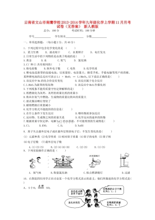 九年级化学上学期11月月考试卷 新人教版试卷(00001)