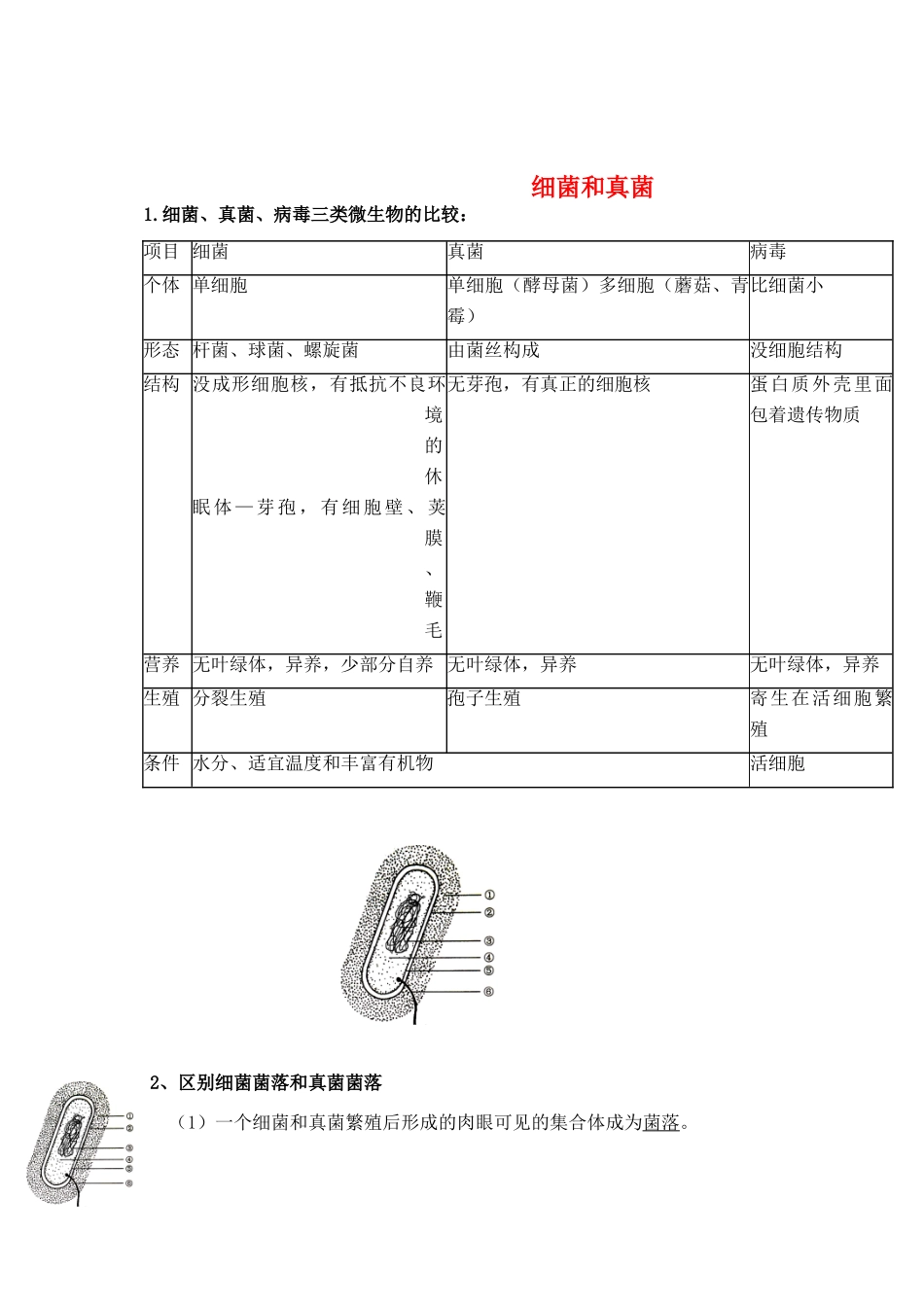 中考生物 细菌和真菌同步测试试卷_第1页