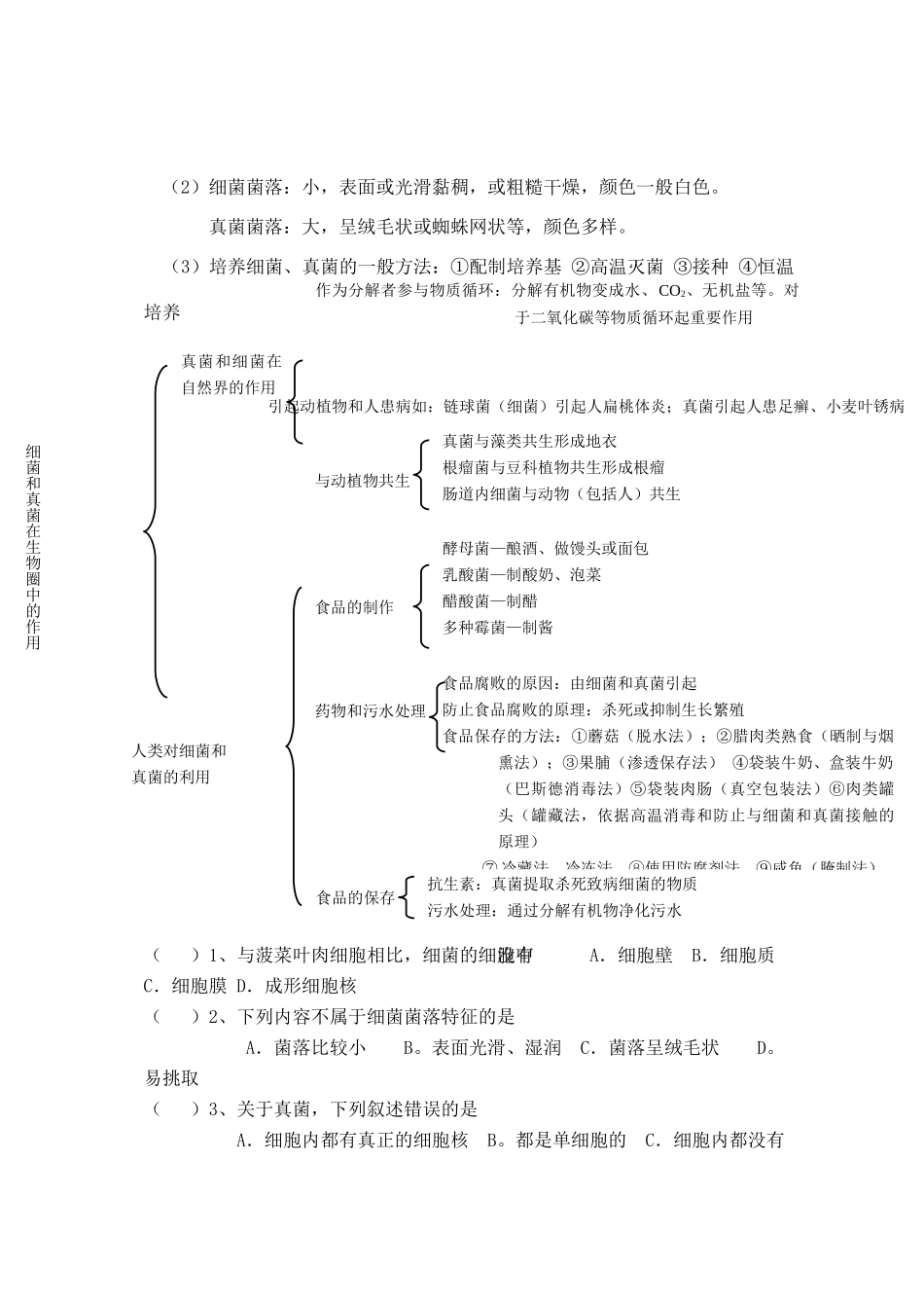 中考生物 细菌和真菌同步测试试卷_第2页