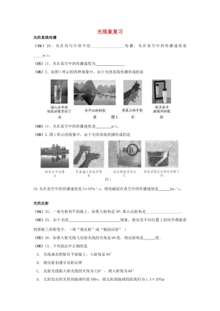 中考物理专题复习 光现象测试卷试卷