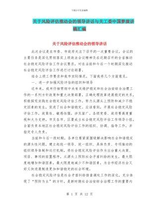 关于风险评估推进会的领导讲话与关工委中国梦演讲稿汇编