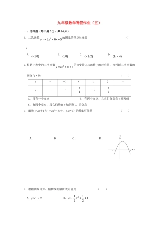 九年级数学寒假专项训练(五) 新人教版试卷