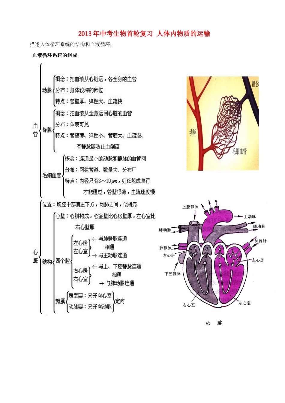 中考生物首轮复习 人体内物质的运输试卷_第1页