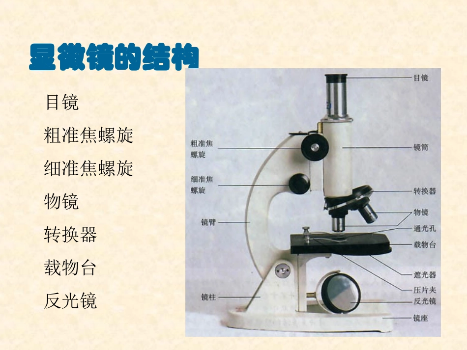 高倍显微镜的使用方法_第2页